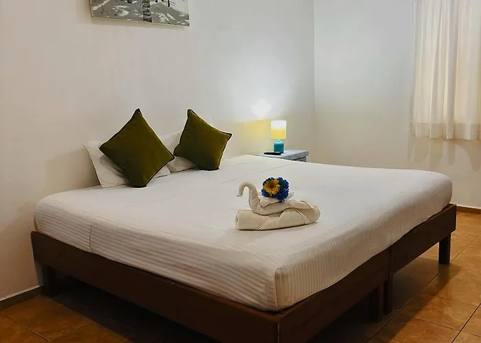 International House Riviera Maya Hotel Playa del Carmen