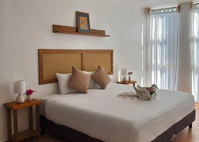 International House Riviera Maya