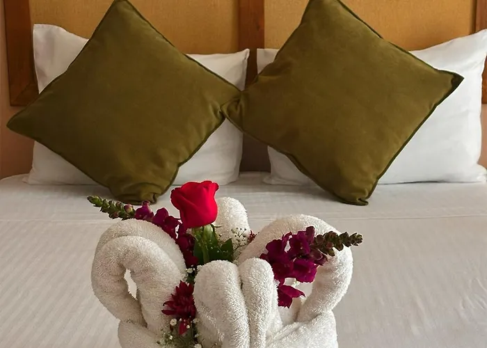 International House Riviera Maya Hotel 2*