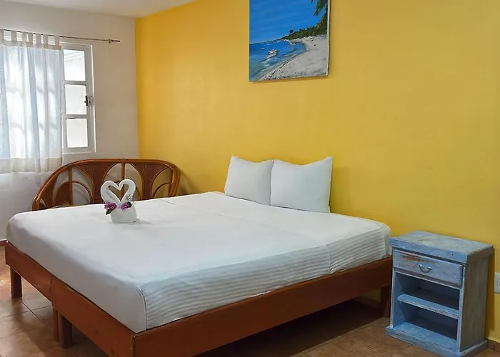 International House Riviera Maya Hotel 2*