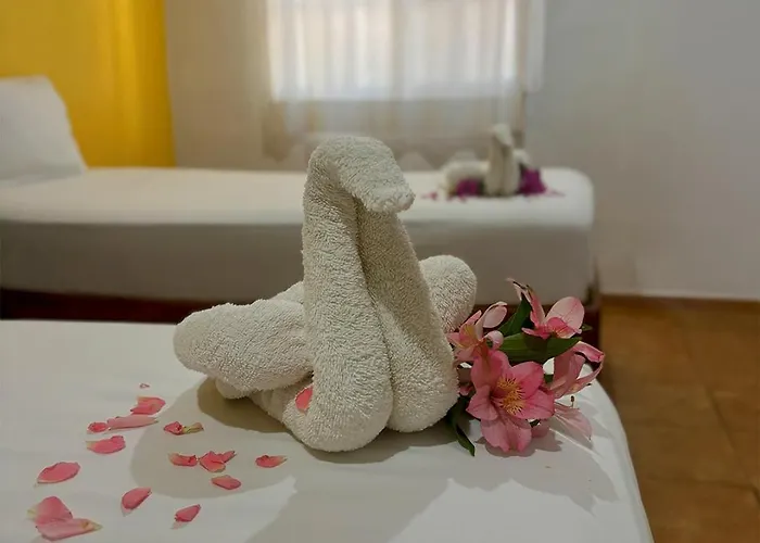 International House Riviera Maya Hotel