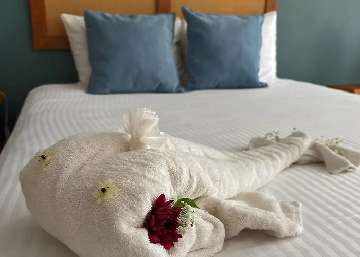 International House Riviera Maya 2* Playa del Carmen