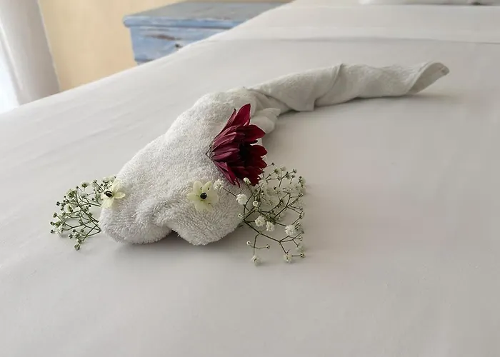 International House Riviera Maya Playa del Carmen