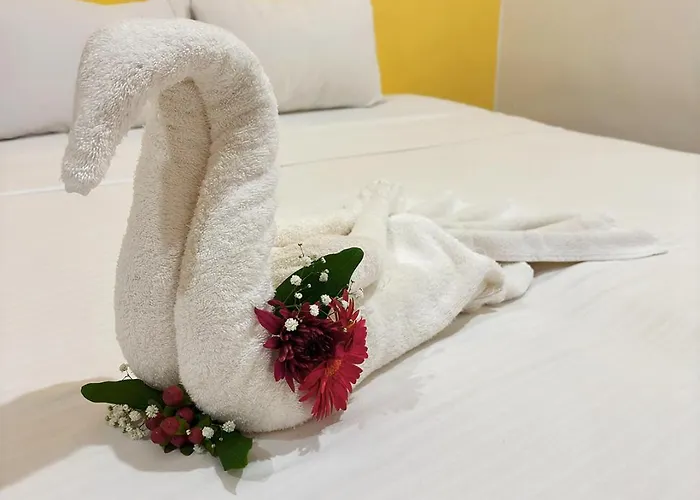 International House Riviera Maya Hotel