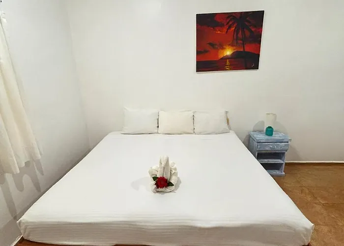 Hotel International House Riviera Maya 2*