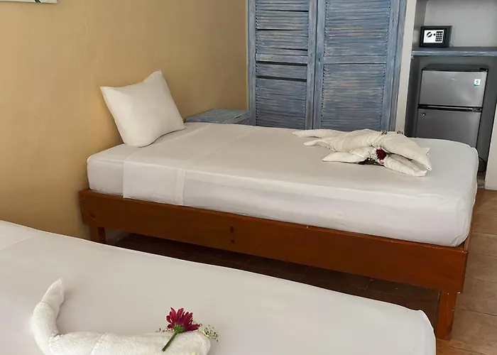 International House Riviera Maya