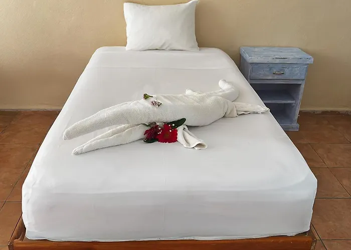 International House Riviera Maya Hotel 2*