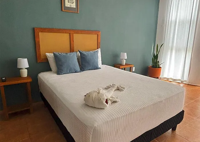 Hotel International House Riviera Maya