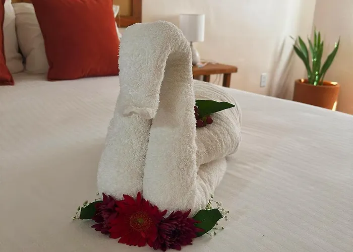 International House Riviera Maya Hotel
