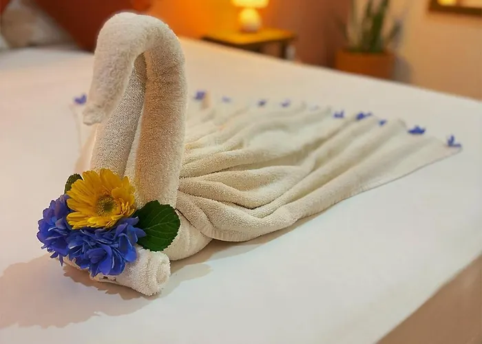 Hotel International House Riviera Maya Playa del Carmen