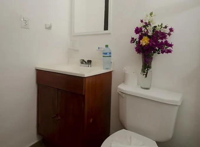 Hotel International House Riviera Maya 2*